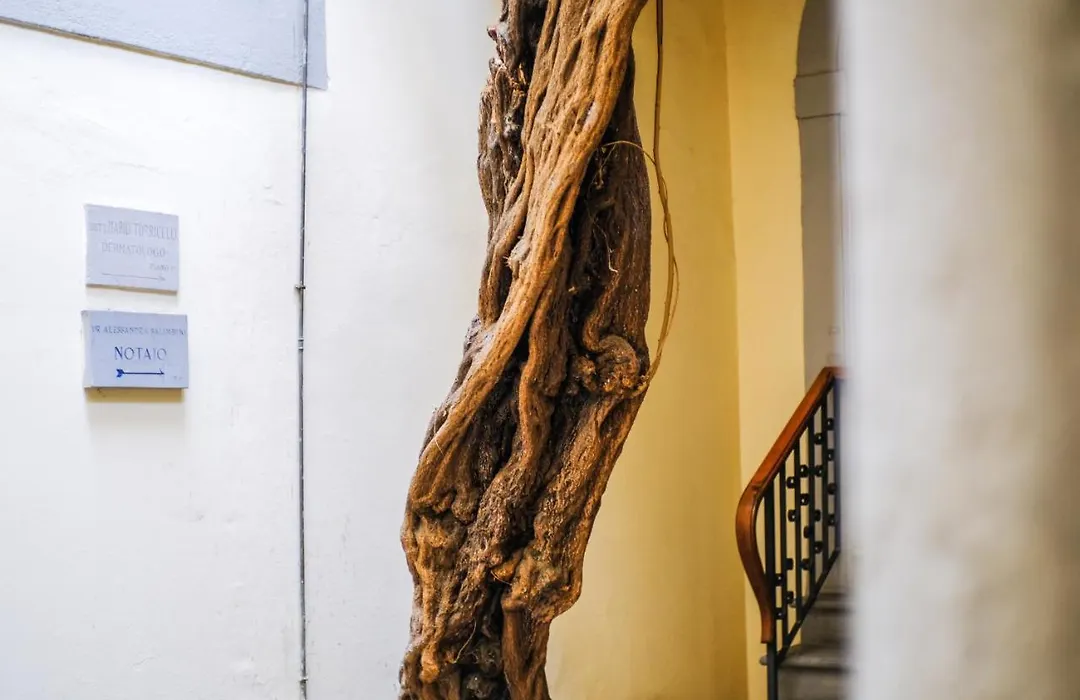 Fiorenza Boutique Apartment-1